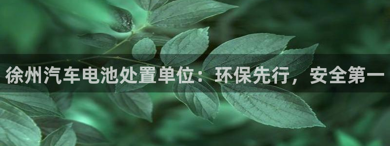 优发国际官网是多少：徐州汽车电池处置单位：环保先行，安全第一